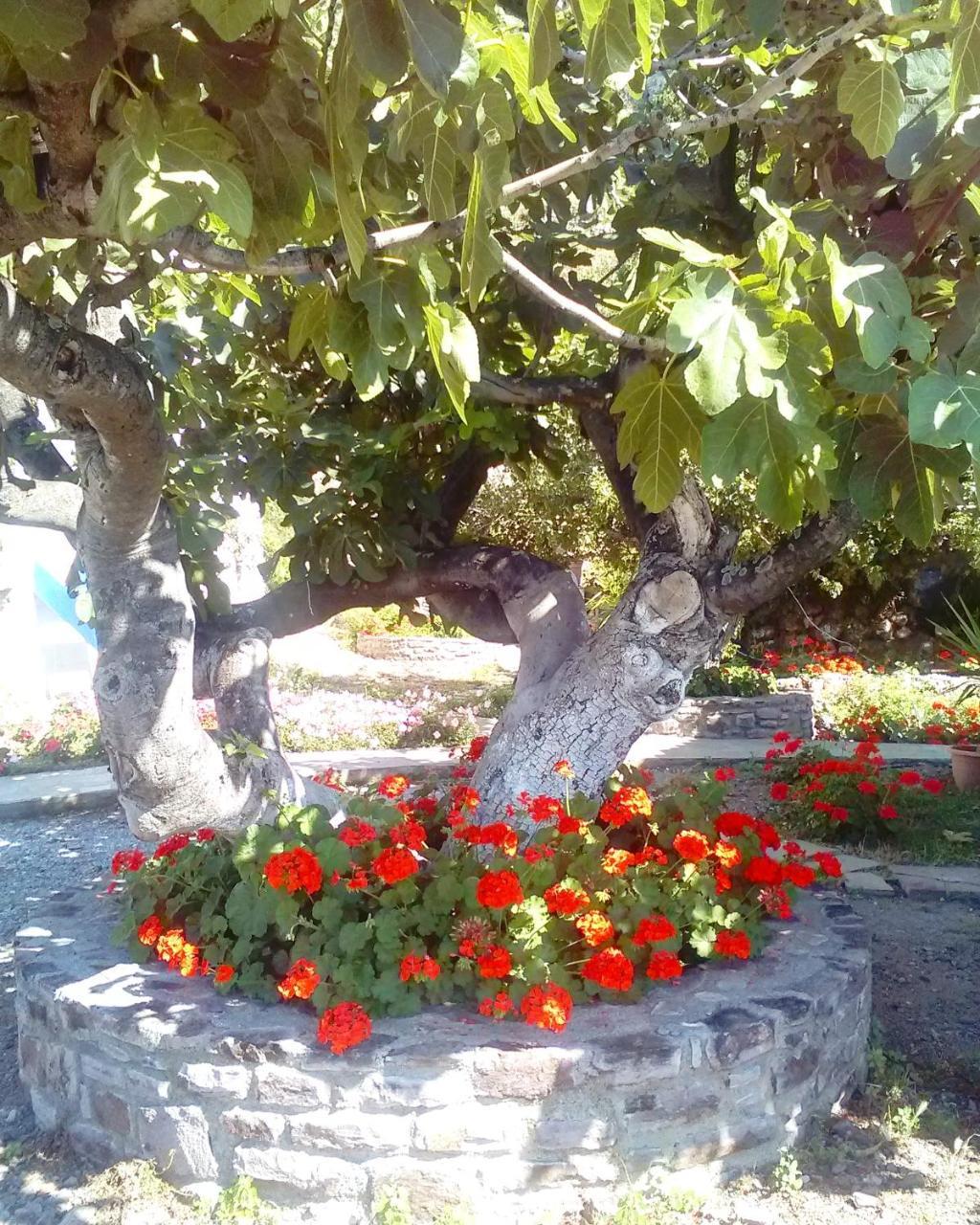Enalion Apartments Agios Ioannis Kaspaka Экстерьер фото